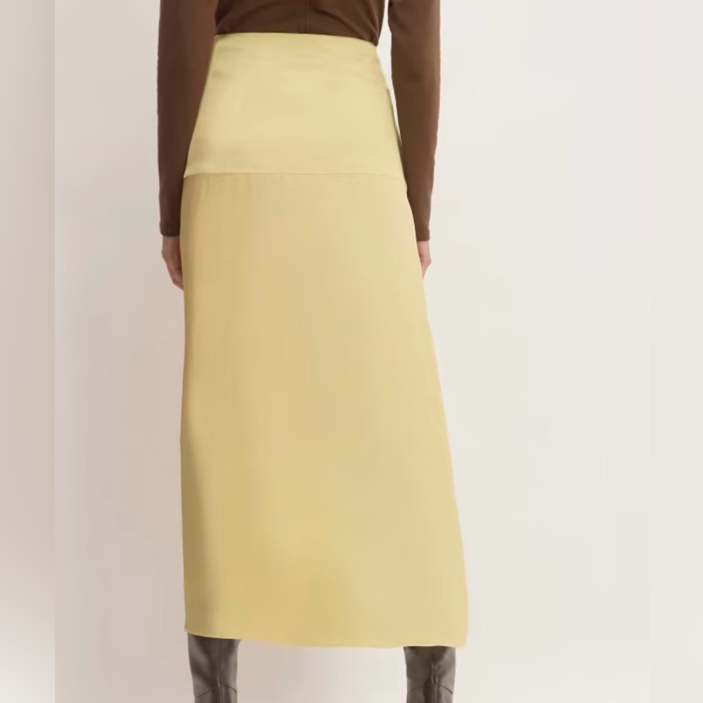 Everlane hammered satin slip skirt